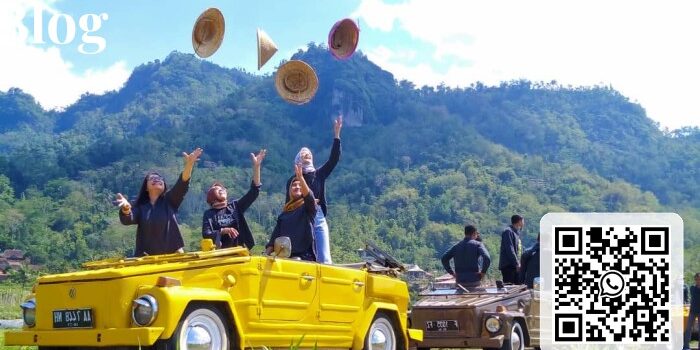 Bali Safari & VW Tour Package