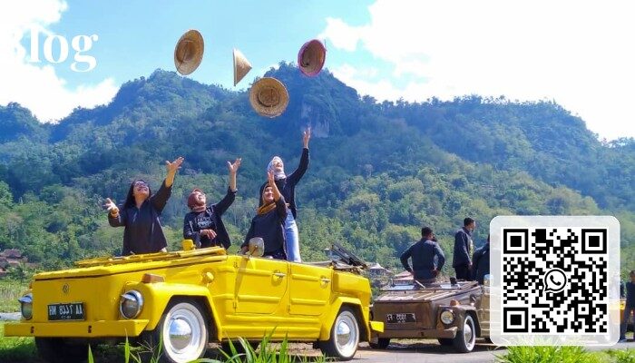 Bali Safari & VW Tour Package
