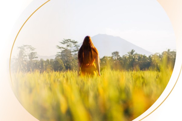 Surya Rice Paddy Walk